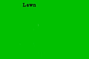 Lawn
