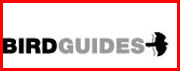 BirdGuides