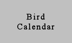 Monthly Arrivals & Departures