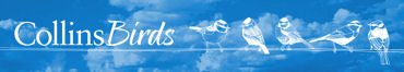 CollinsBirds