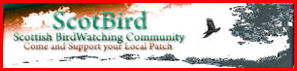 ScotBird website